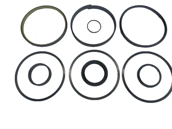 (S39018900) Rmt Seal Kit | 4-1/2 1