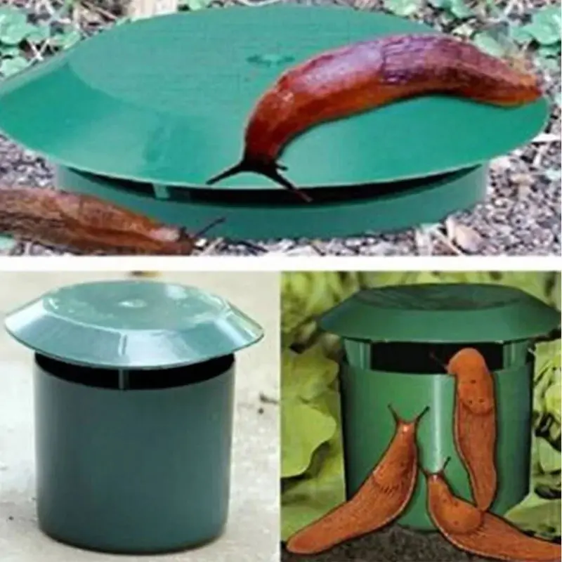 Eco-Friendly Snail/Slug Gin Trap 1