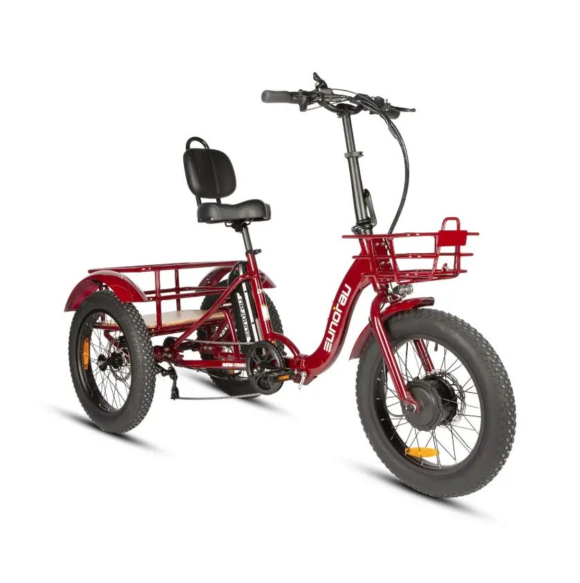 Eunorau New-Trike 2.0 Folding Electric Trike 1