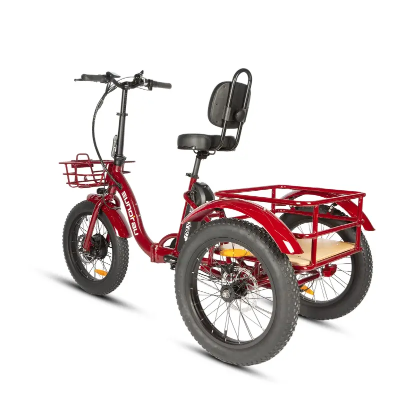 Eunorau New-Trike 2.0 Folding Electric Trike 3