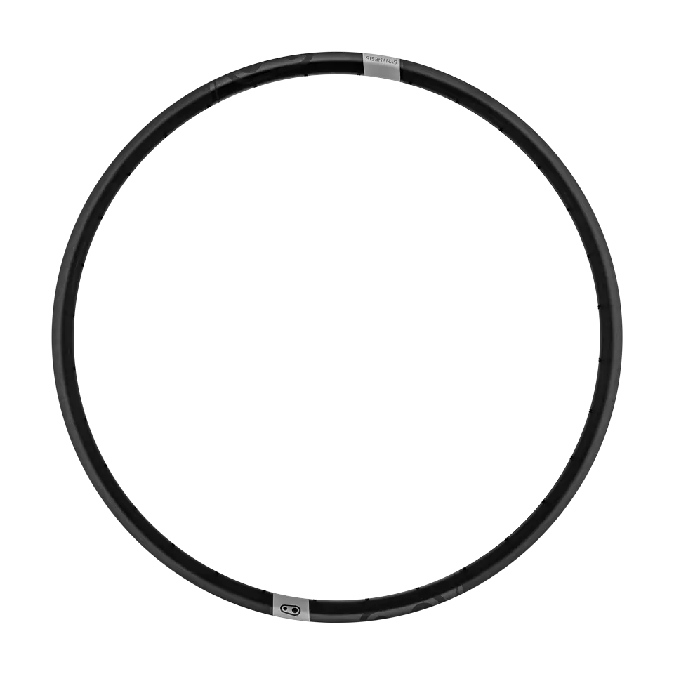 Synthesis Enduro Alloy Rim 1