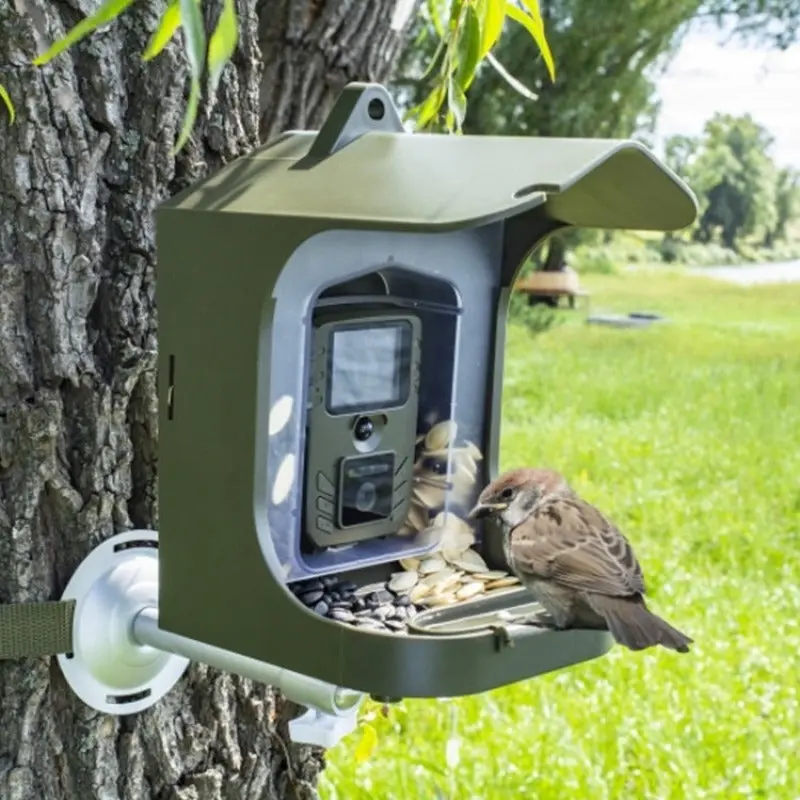 Outdoor Trail Camera Bird Feeder 1