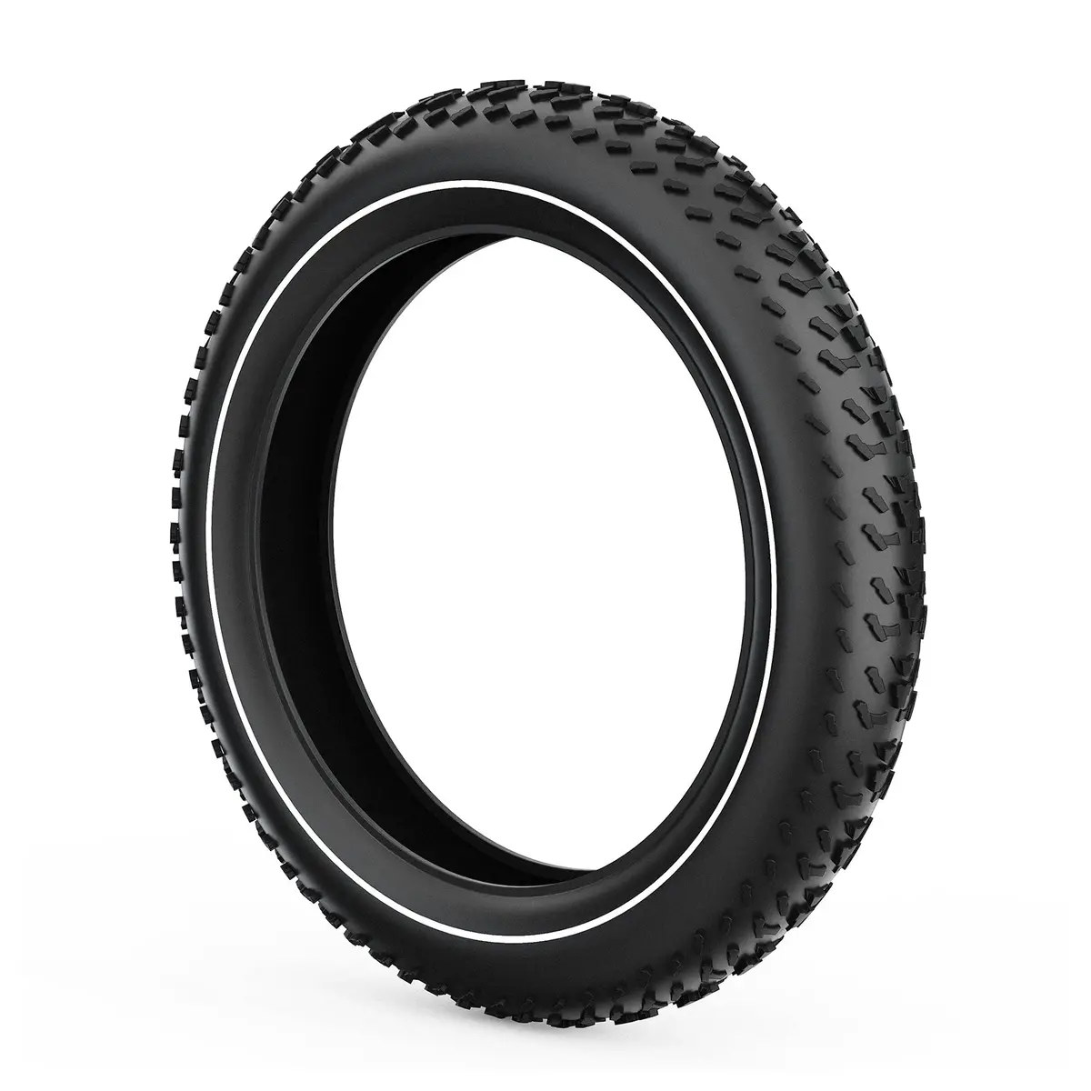Tesway Fat Tire 1