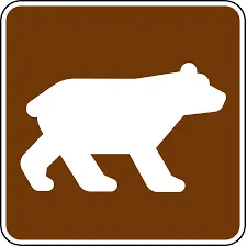 Bear Viewing Area Rs-012 1