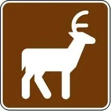 Deer Viewing Area Rs-011 1