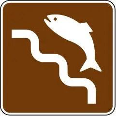 Fish Ladder Rs-089 1