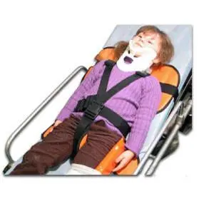 Child Restraint Pediatric Seat 1