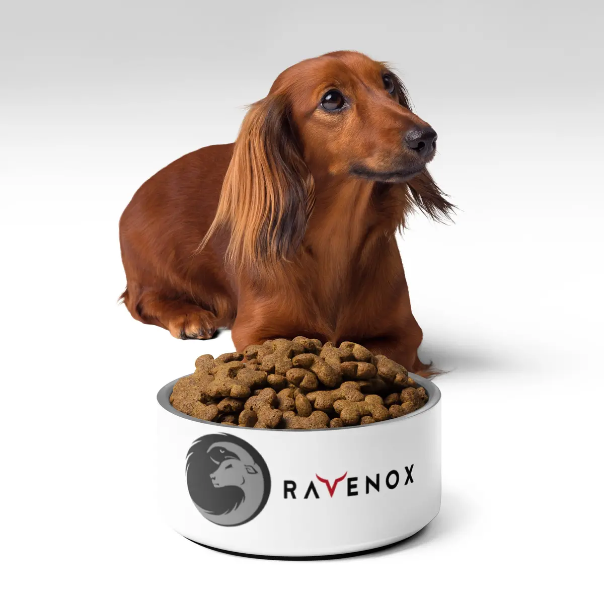 Ravenox Stainless Steel Pet Bowl 2