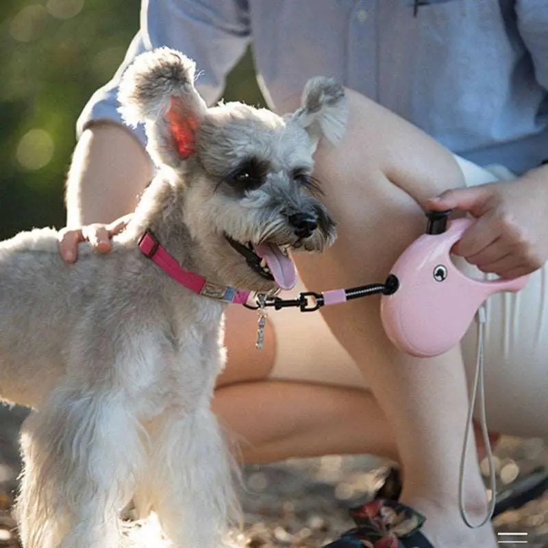 Automatic Retractable Walking Leash 1