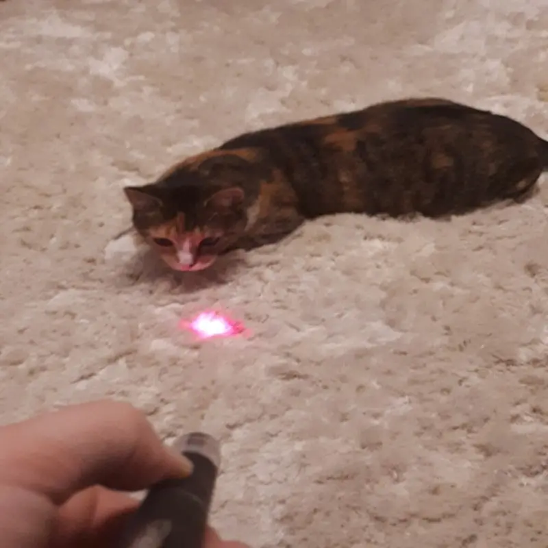 Laser Light Pet Interaction Cat Toy 1