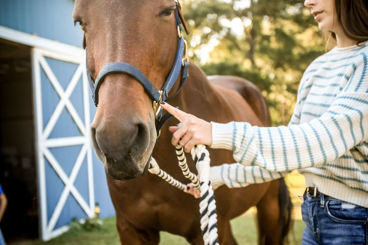 Extra Large Cotton Rope Horse Leads 1