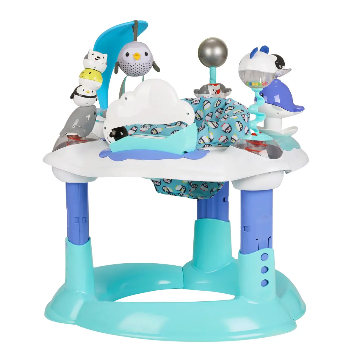 Polar Playground Activity Center 1
